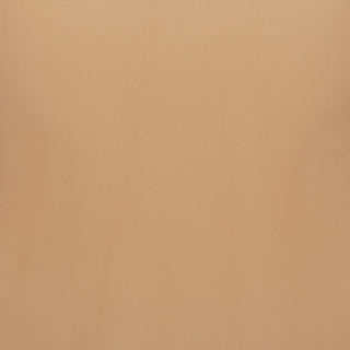 SHEER SEAMLESS HIGH-WAISTED BRIEF | OCHRE