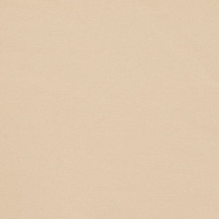 SMOOTHING INTIMATES HIGH-WAISTED THONG | SAND